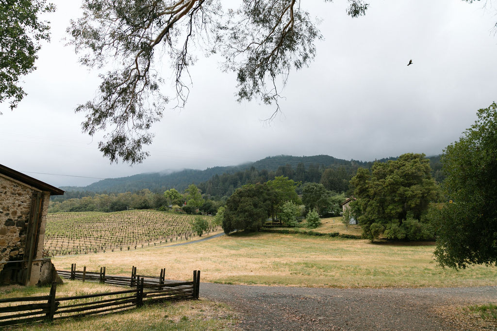 Elopement at Jack London Park