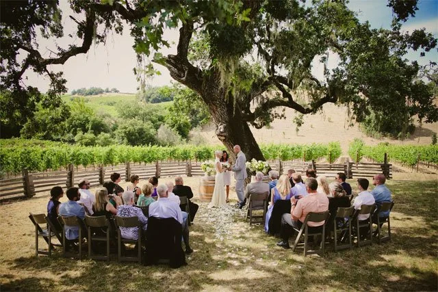 mini-wedding in Sonoma